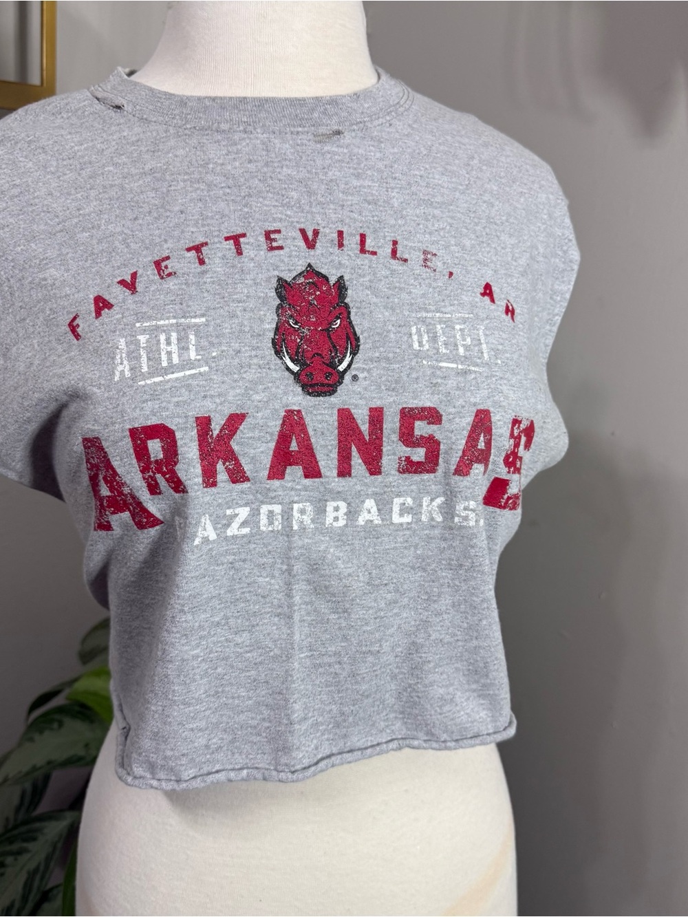 Arkansas Razorbacks Russell Athletic Gray Cropped Sleeveless Graphic Tee L